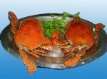CUA HẤP BIA
