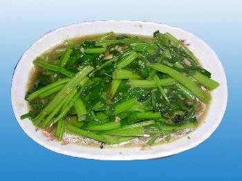 BÓ XÔI XÀO DẦU HÀO