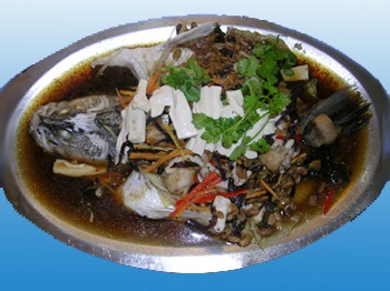 CÁ CHƯNG TƯƠNG HỘT